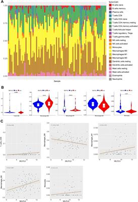 SELPLG Expression Was Potentially Correlated With Metastasis and Prognosis of Osteosarcoma